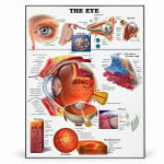 Healthy Eye Chart
